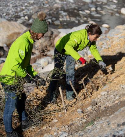 Programme pedagogique et citoyen ? resilience de mon territoire : connaitre et agir" avec Prevention MAIF et les associations WES Preventraides Remontons La Roya Culture en Terrasses. Asso La Sauce. Les benevoles plantes des arbres afin de consolider les berges et eviter a l'avenir les eboulements de terrain lors de fortes pluies.